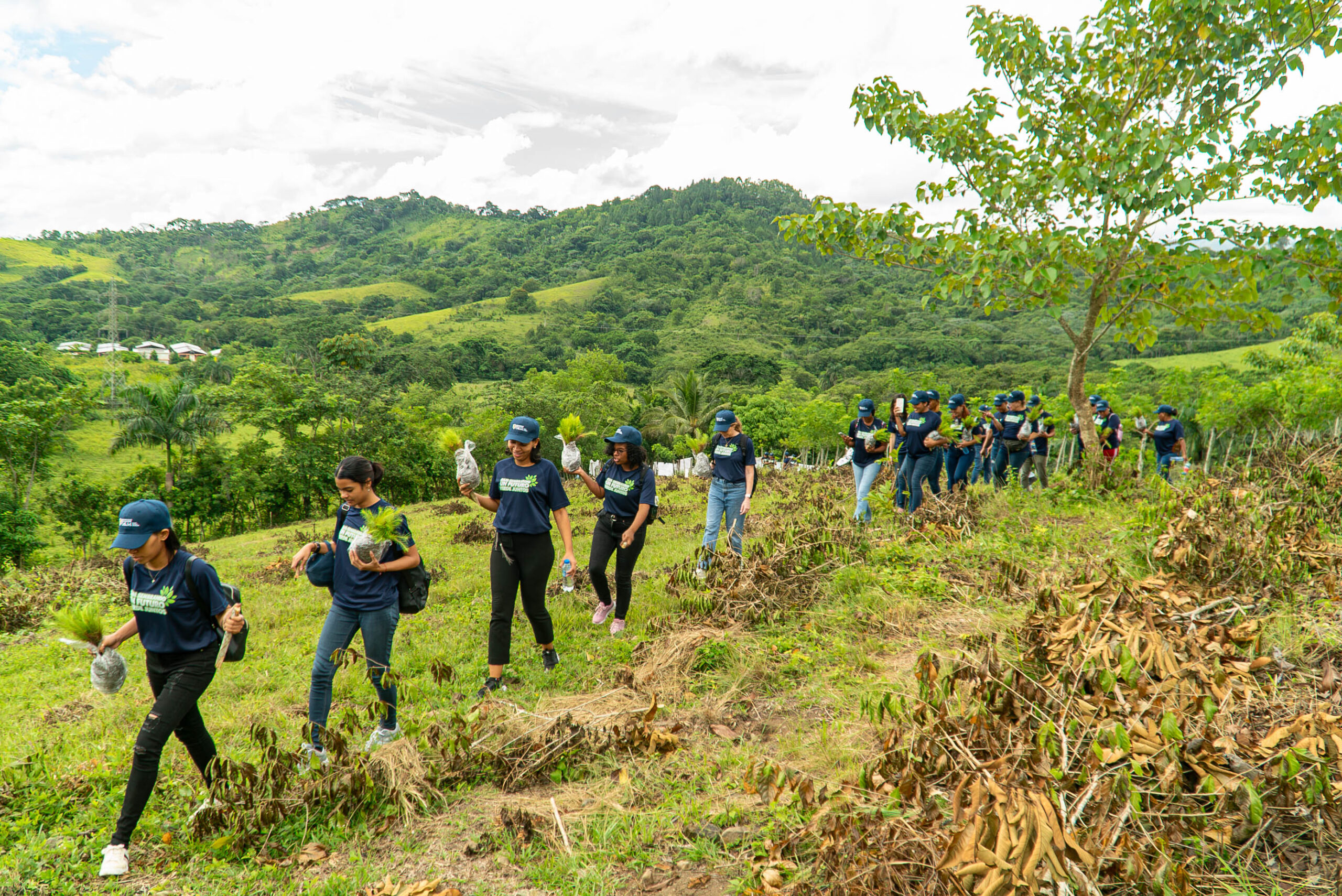 Universidad Dominicana O&M realiza jornada de reforestación