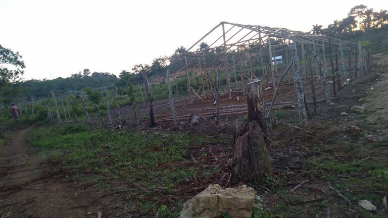 Denuncian que un grupo de haitianos junto a nativos de Gonzalo, en Monte Plata, República Dominicana, intenta quitarles sus tierras