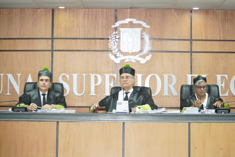 El PPG apela ante el Tribunal Superior Electoral resolución de la Junta Central Electoral sobre diputación nacional