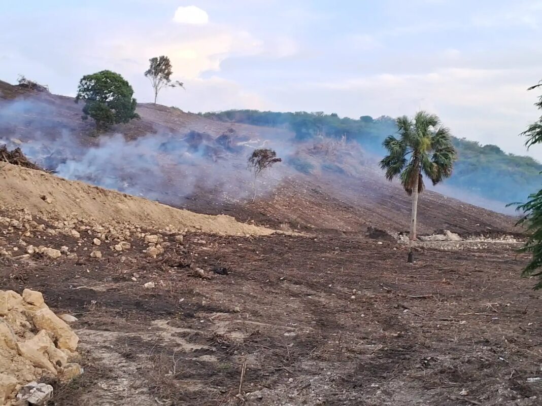 PLD: Indiferencia del Ministerio Medio Ambiente