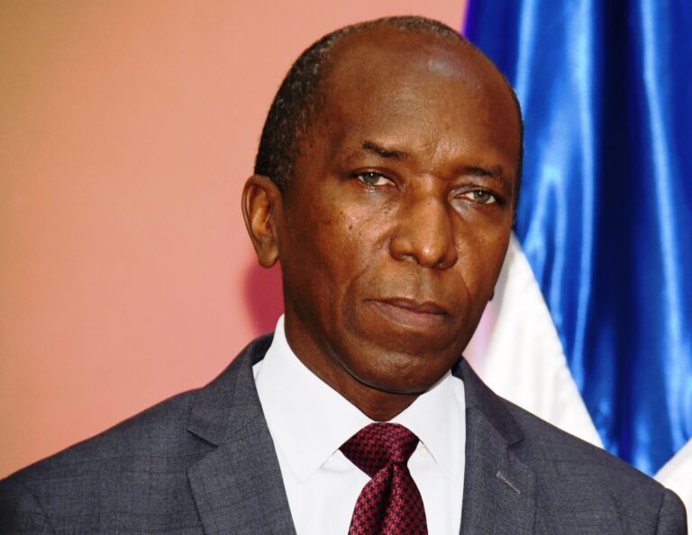 PLD: Partido en el Gobierno procura un traje a la medida modificando la Constitución