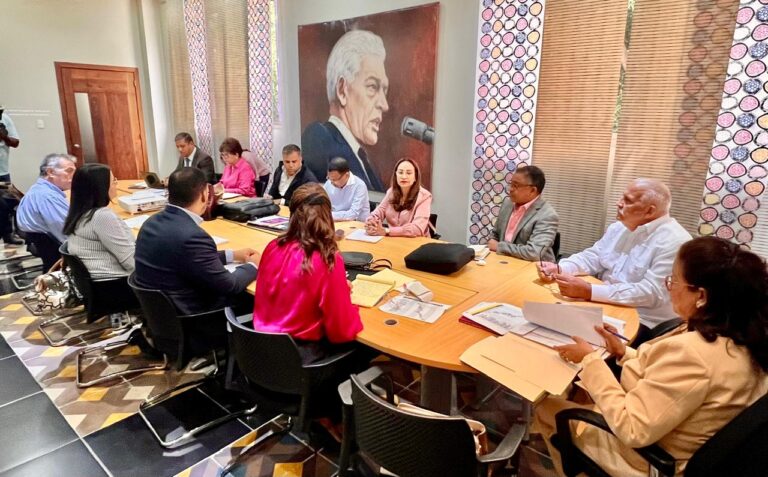 PLD informa que los Peledeistas se preparan para asistir al acto de apertura de su Congreso