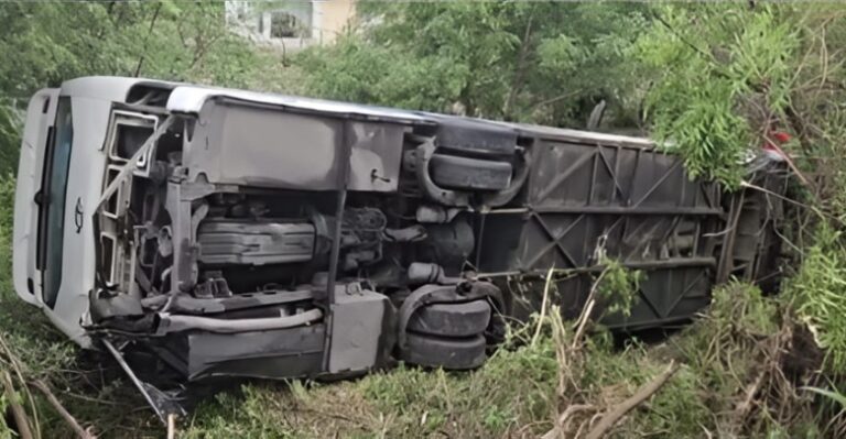 Transporte Hermanos Paulino aclara autobús citado por director del INTRANT no es de su propiedad