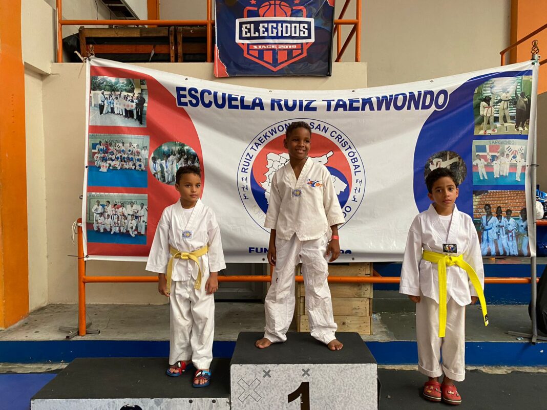 Fundación Sumando Esfuerzos y Academia de Taekwondo Luisito Pie: Impulsando el Deporte y la Comunidad