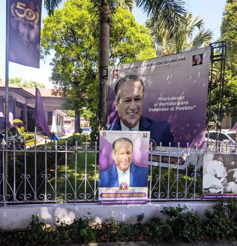 Domingo 20, elecciones de miembros del Comité Central del PLD