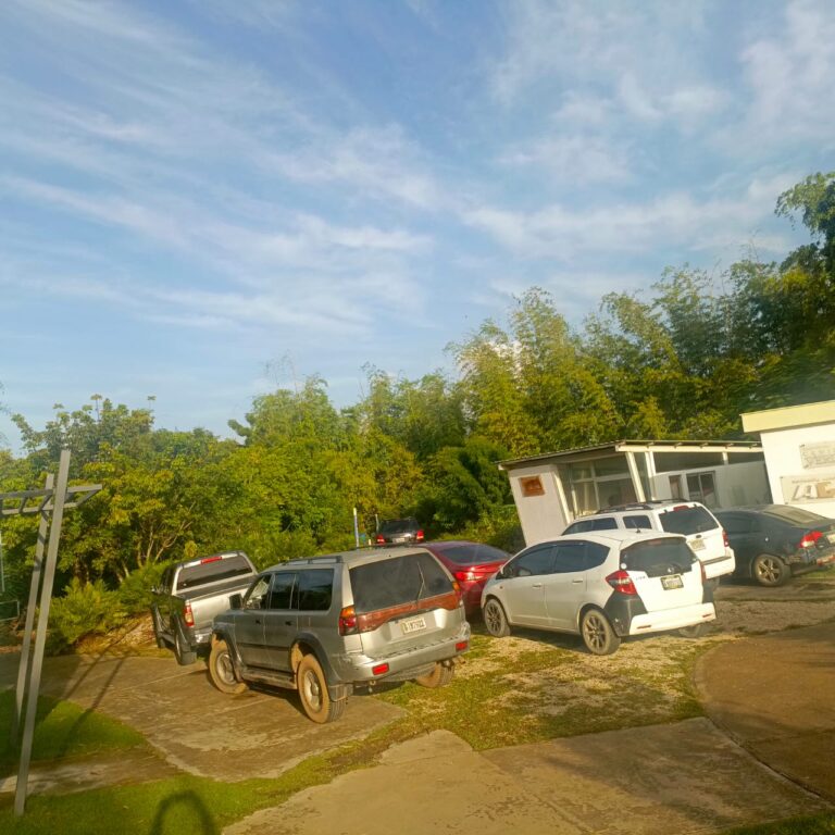 Digesett: amplio operativo de seguridad y fiscalización en Ciudad Juan Bosch