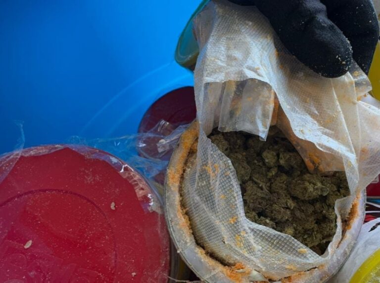 Apresan dos y ocupan 29 paquetes de marihuana camuflados en latas de leche y té frio