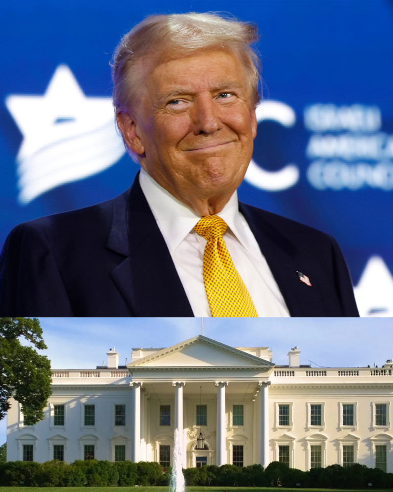 Logan Jiménez Ramos felicita a Donald Trump por su triunfo en la contienda electoral