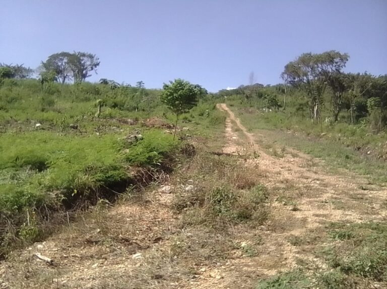 La familia Féliz Carrasco herederos de terreno de sus padres en Barahona, confían sentencias de tribunales a su favor