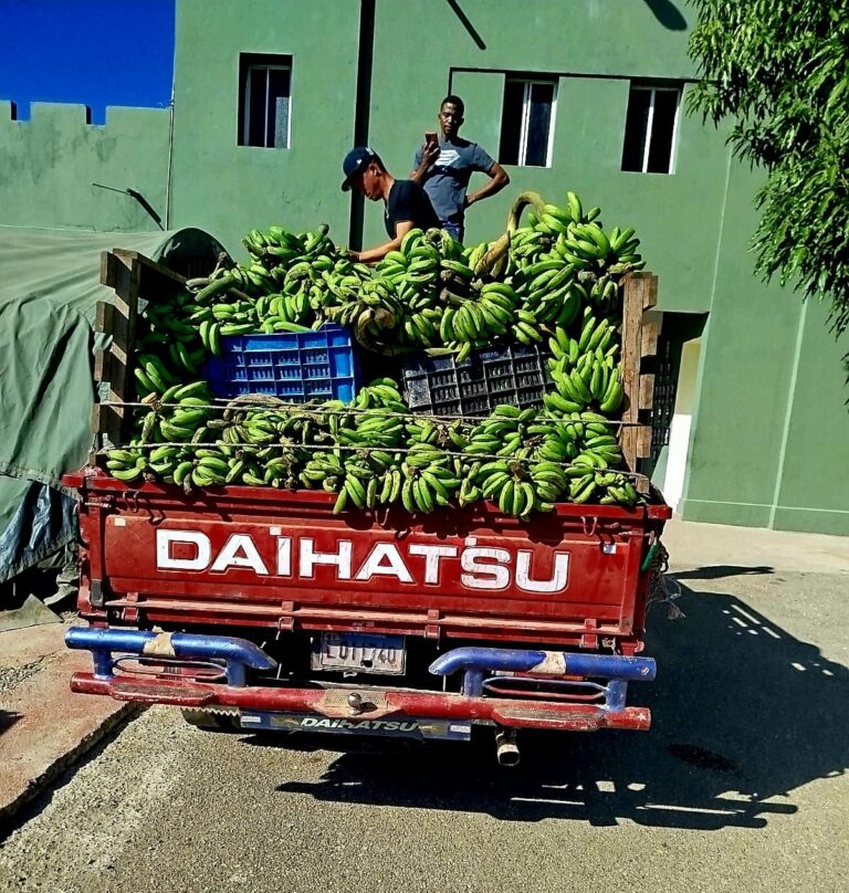 Ejército decomisa contrabando de bebidas y cigarrillos oculto en un camión bajo carga de guineos