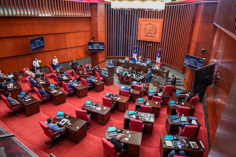Ante Comisión General del Senado, director del INTRANT plantea modificación a la ley de tránsito
