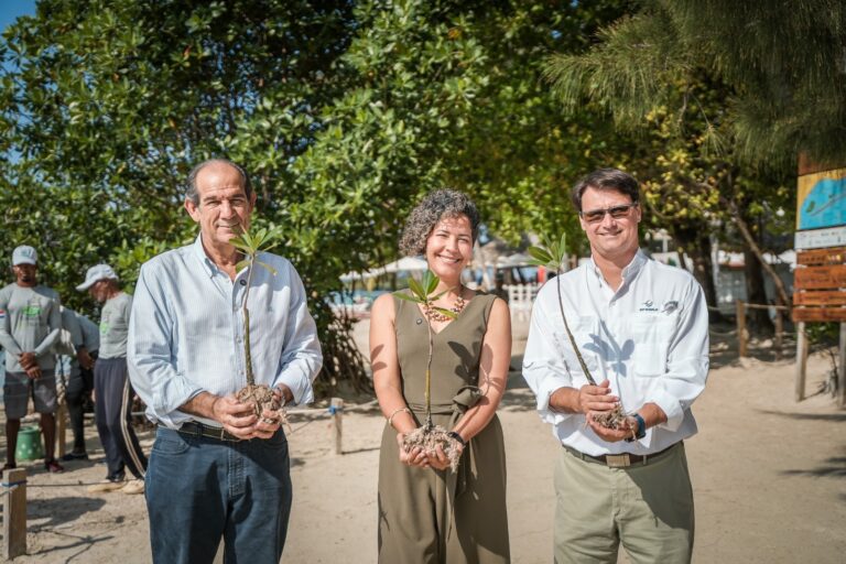 DP World y Fundación Verde Profundo unen esfuerzos por el ecosistema marino de Boca Chica