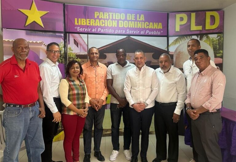 PLD denuncia a los despidos de estos profesionales en la administración pública