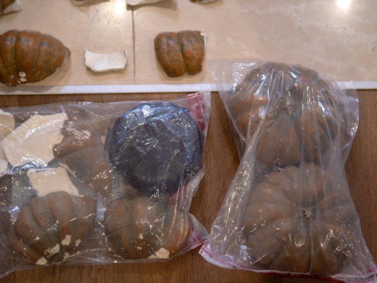 El cargamento de cocaína confiscado en auyamas plásticas tuvo un peso de 624 kilogramos