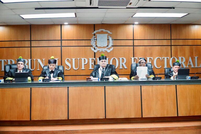 TSE ORDENA A  PARTIDO FUERZA DEL PUEBLO (FP) INCLUIR A FRANCISCA TAPIA MARTE