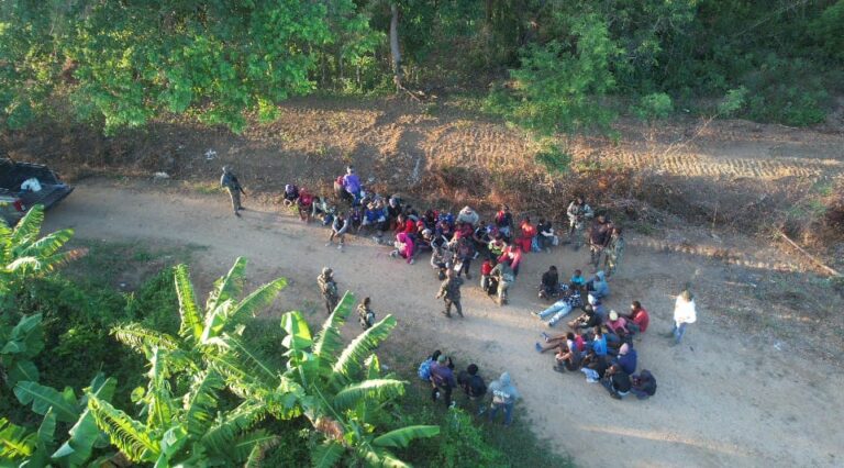 Localizan con drones y detienen a 53 haitianos indocumentados en zonas boscosas de Montecristi