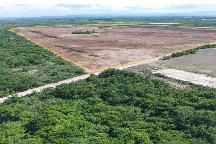 Consejo de Organizaciones denuncia que BID Invest acude a Manzanillo sin propuesta de resarcimiento integral para Pepillo Salcedo