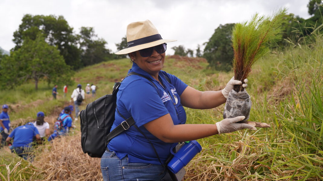 Onesvie fortalece su compromiso con la sostenibilidad mediante jornada nacional de reforestación en Cevicos