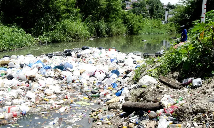Día Mundial del Medio Ambiente: Entre Discursos y Destrucción