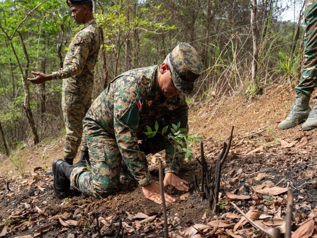EJÉRCITO DE REPÚBLICA DOMINICANA SIEMBRA 3,500 ÁRBOLES EN VILLA ALTAGRACIA EN EL MARCO DEL MES DE LA REFORESTACIÓN